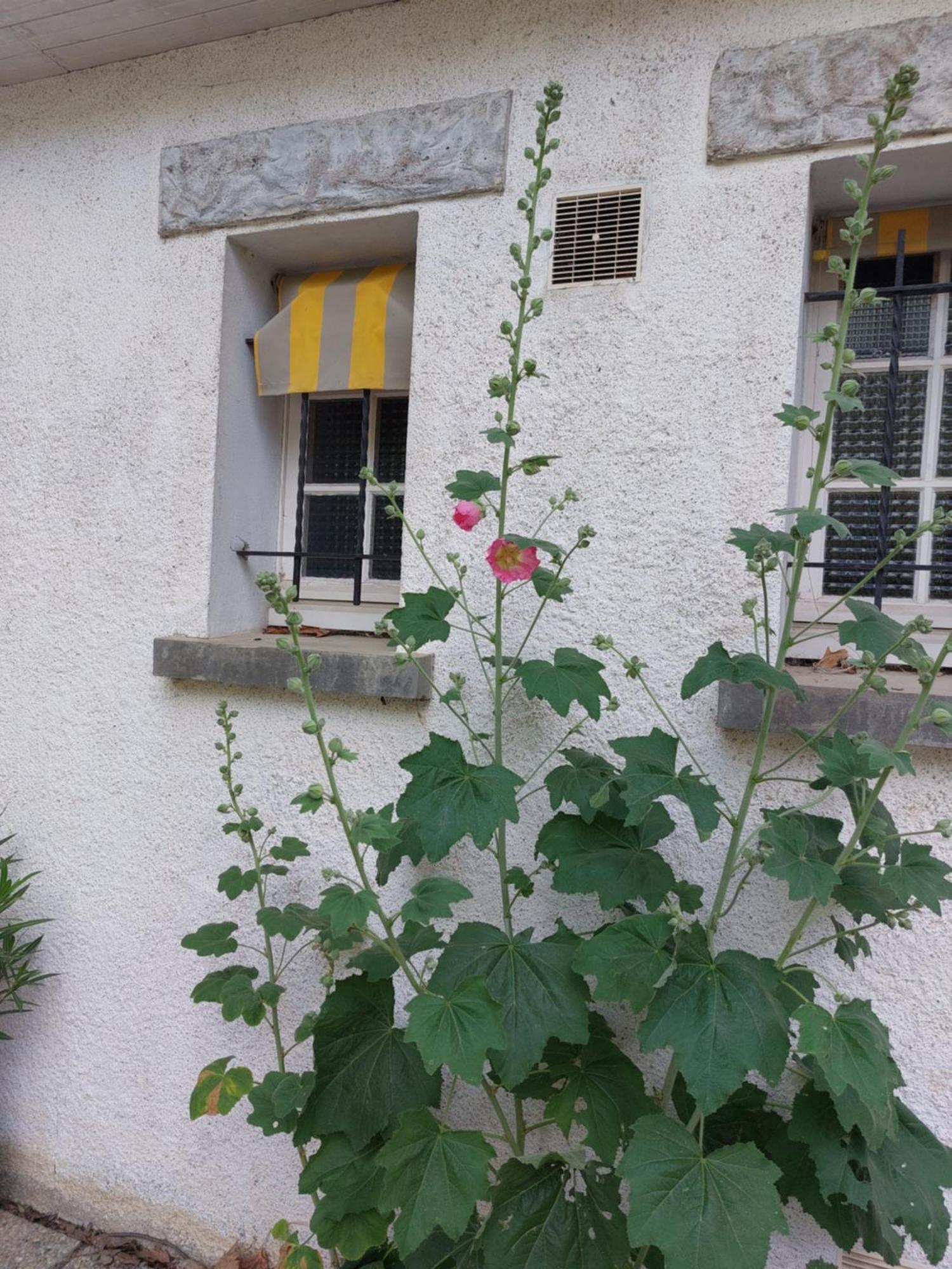 Les Allees Du Chateau Le Mazeau Εξωτερικό φωτογραφία